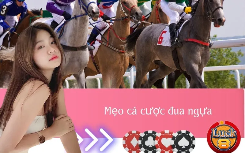 Mẹo cá cược đua ngựa